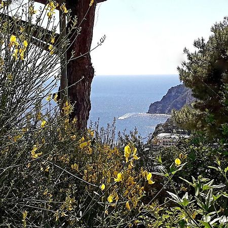 Villetta Rosetta Capri Zewnętrze zdjęcie
