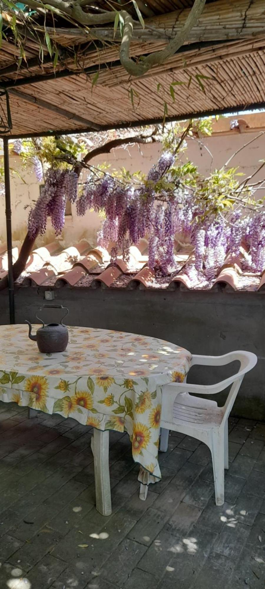 Villetta Rosetta Capri Zewnętrze zdjęcie