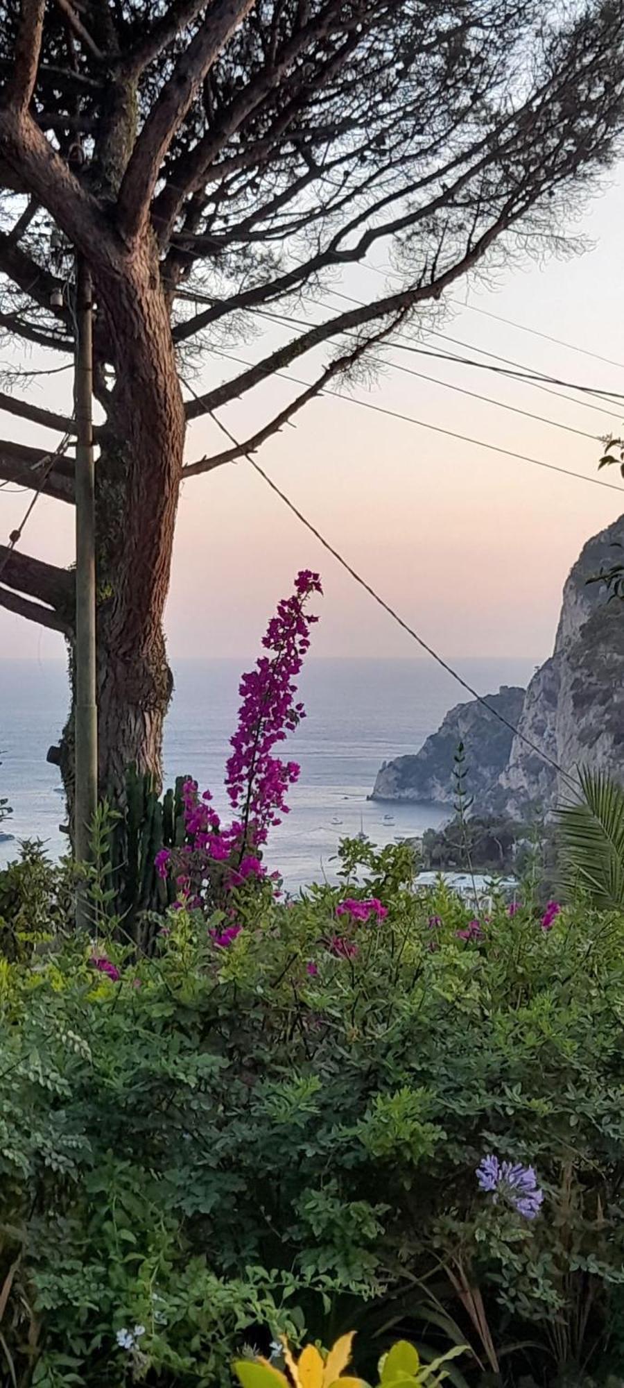 Villetta Rosetta Capri Zewnętrze zdjęcie