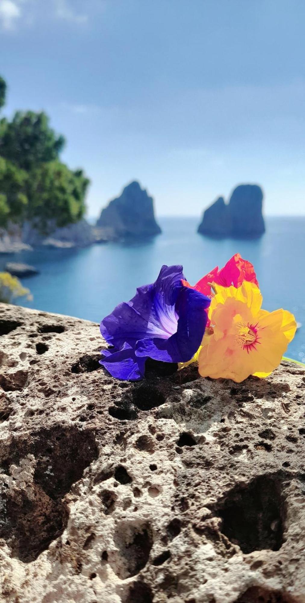 Villetta Rosetta Capri Zewnętrze zdjęcie