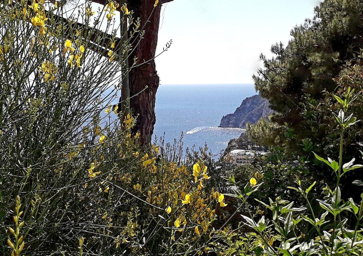 Villetta Rosetta Capri Zewnętrze zdjęcie