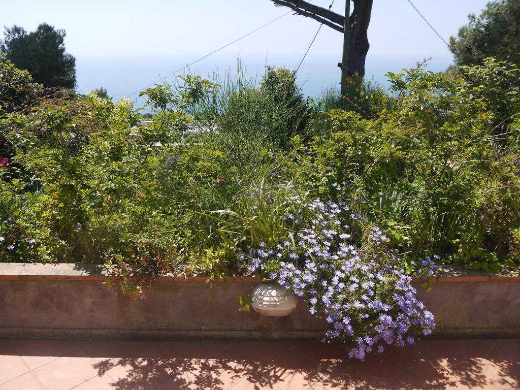 Villetta Rosetta Capri Zewnętrze zdjęcie